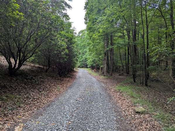 20.8 Acres of Recreational Land for Sale in Ellijay, Georgia