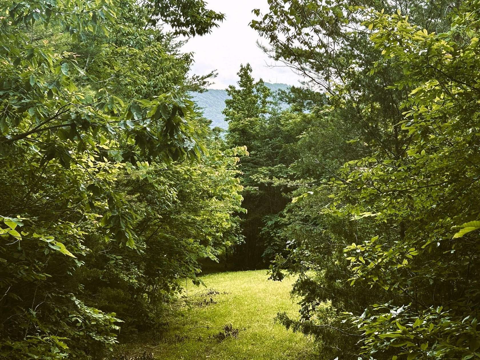 20 Acres of Recreational Land for Sale in Englewood, Tennessee