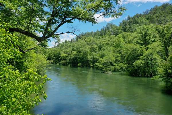 312 Acres of Recreational Land for Sale in Farner, Tennessee