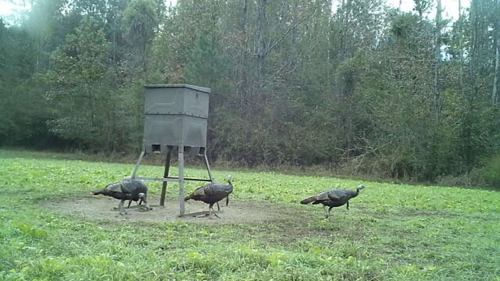 100 Acres of Recreational Land for Sale in Columbia, Mississippi