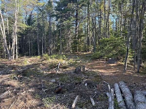 0.98 Acres of Residential Land for Sale in Blue Hill, Maine