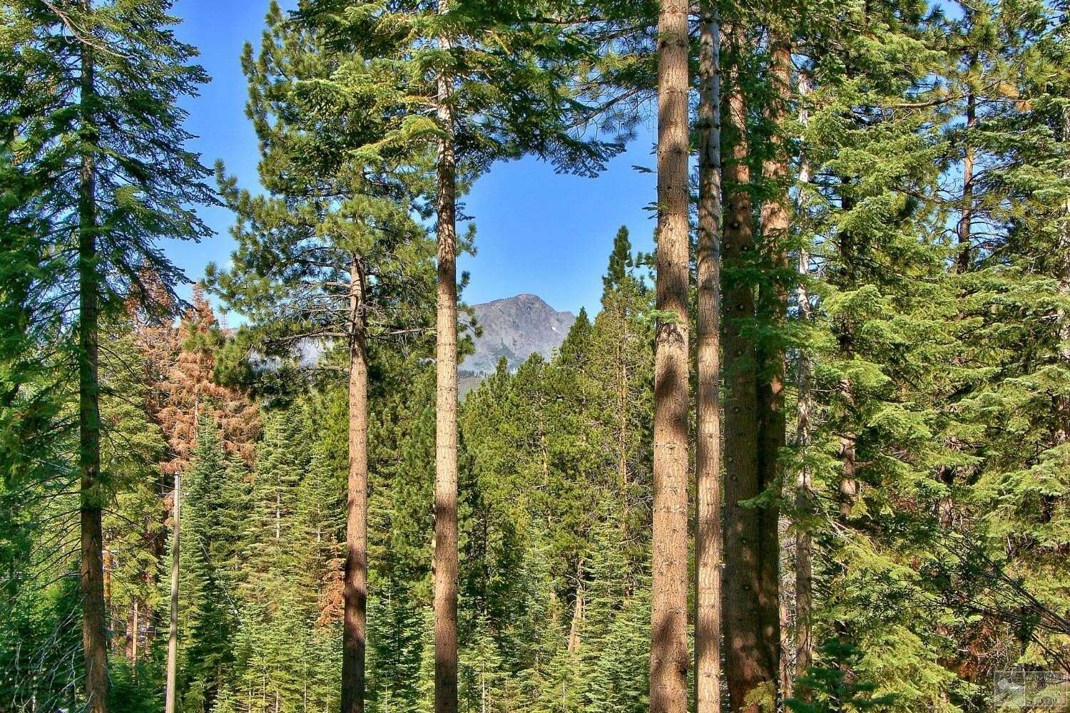 0.55 Acres of Residential Land for Sale in South Lake Tahoe, California