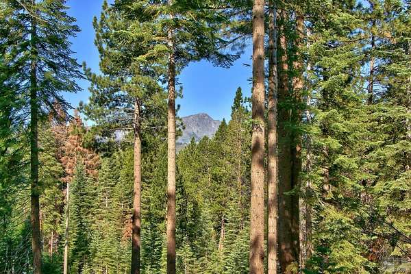 0.55 Acres of Residential Land for Sale in South Lake Tahoe, California