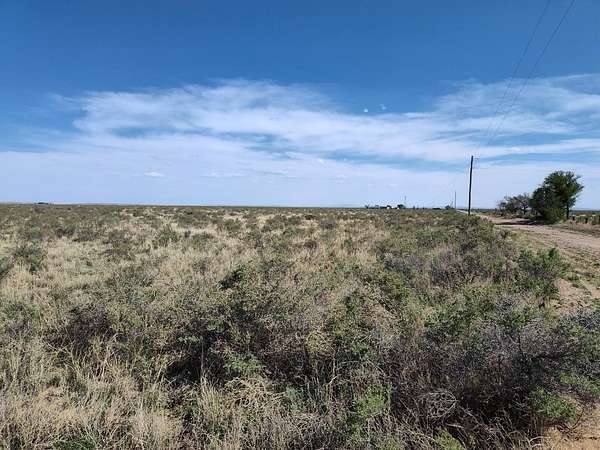 20 Acres of Land for Sale in McIntosh, New Mexico