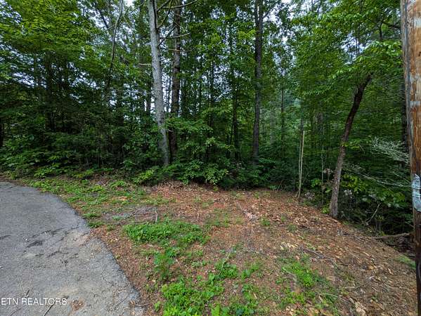 1 Acre of Land for Sale in Townsend, Tennessee