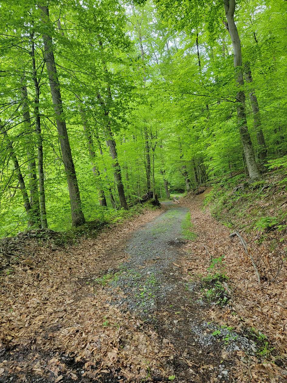 520 Acres of Recreational Land for Sale in Summersville, West Virginia