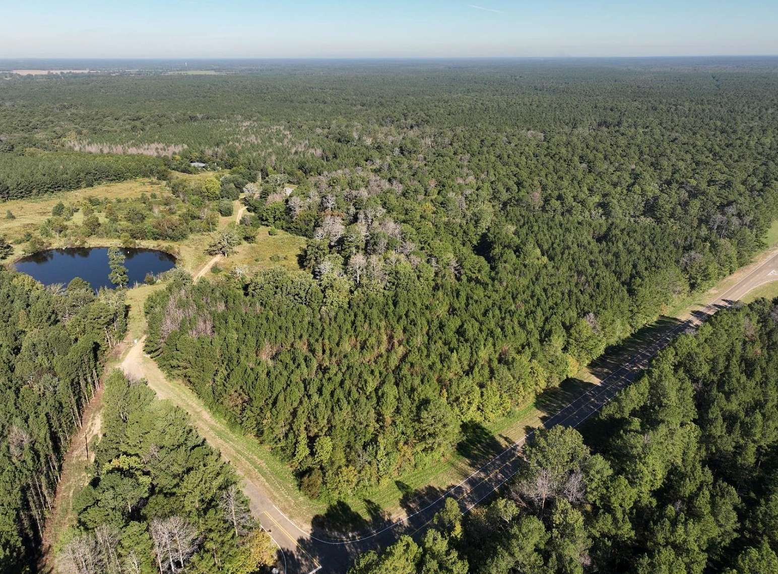 156 Acres of Land for Sale in Morton, Mississippi