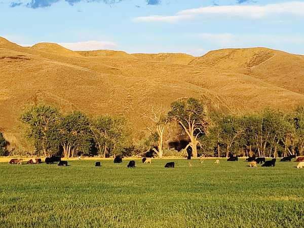7,075 Acres of Recreational Land & Farm for Sale in Fort Benton, Montana