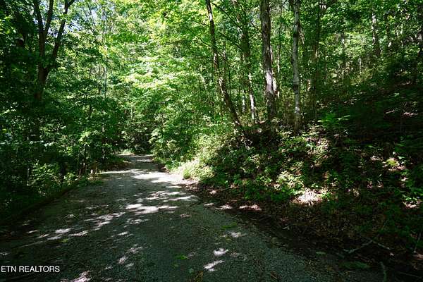 0.28 Acres of Land for Sale in Smithville, Tennessee