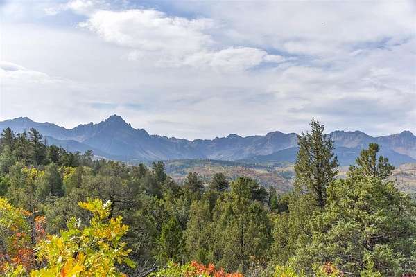 40 Acres of Land for Sale in Ridgway, Colorado