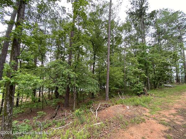 0.65 Acres of Residential Land for Sale in Alexander City, Alabama