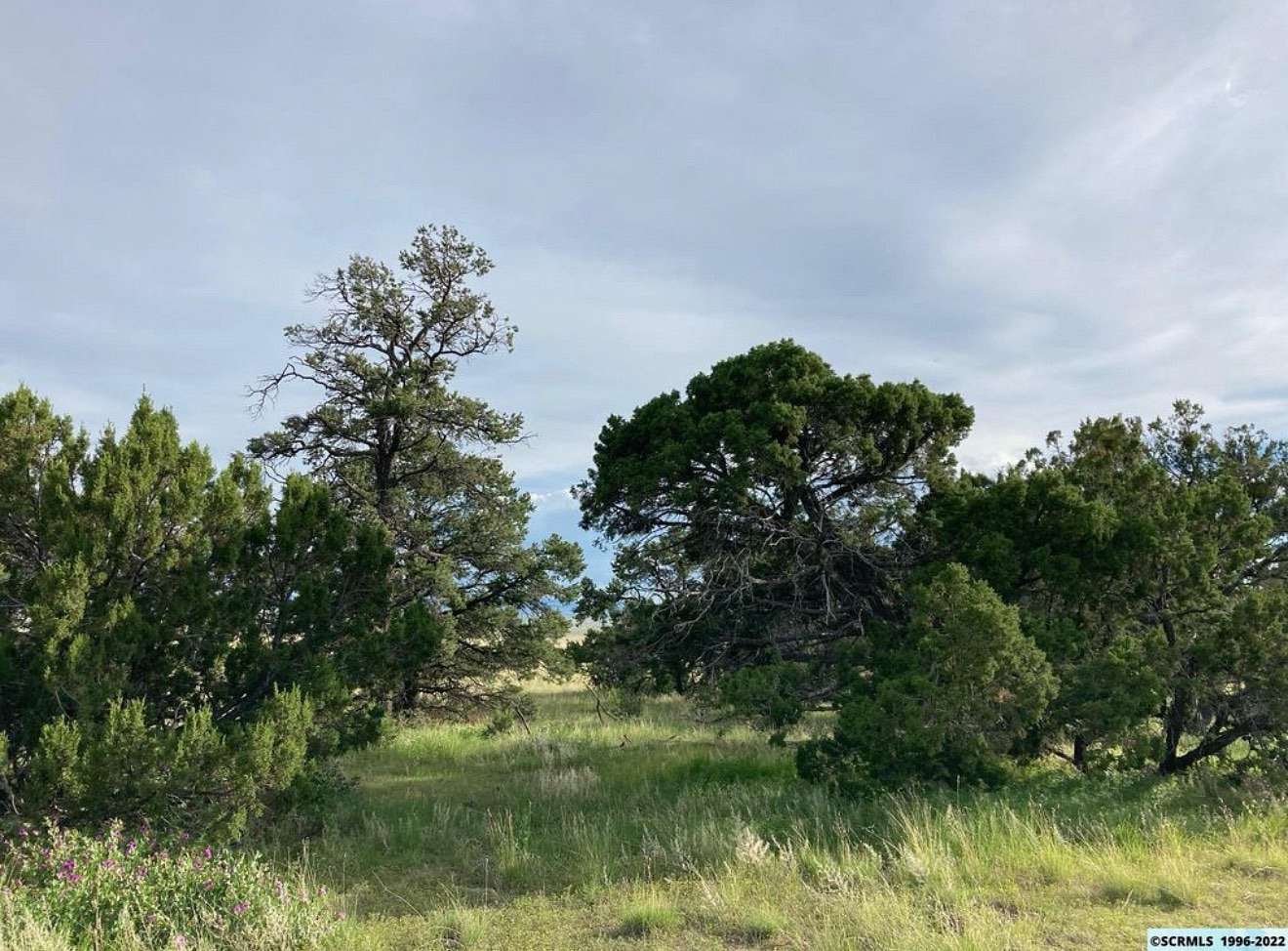 5 Acres of Land for Sale in Datil, New Mexico
