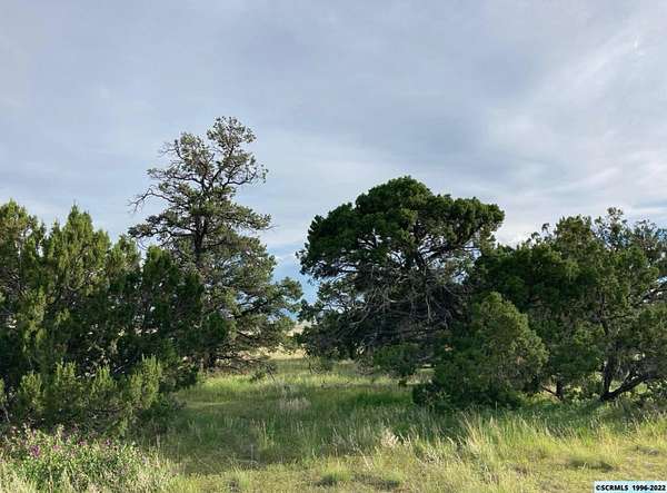 5 Acres of Land for Sale in Datil, New Mexico