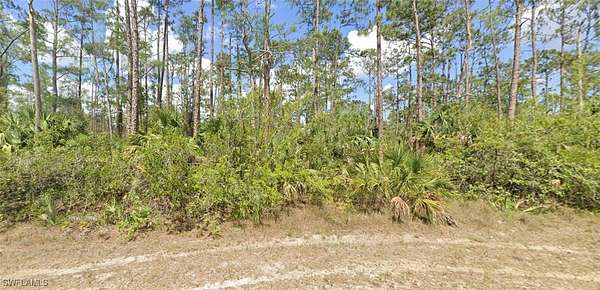 0.33 Acres of Residential Land for Sale in Lehigh Acres, Florida