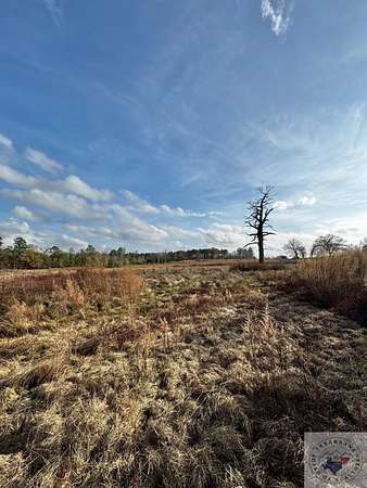 20.3 Acres of Land for Sale in Linden, Texas