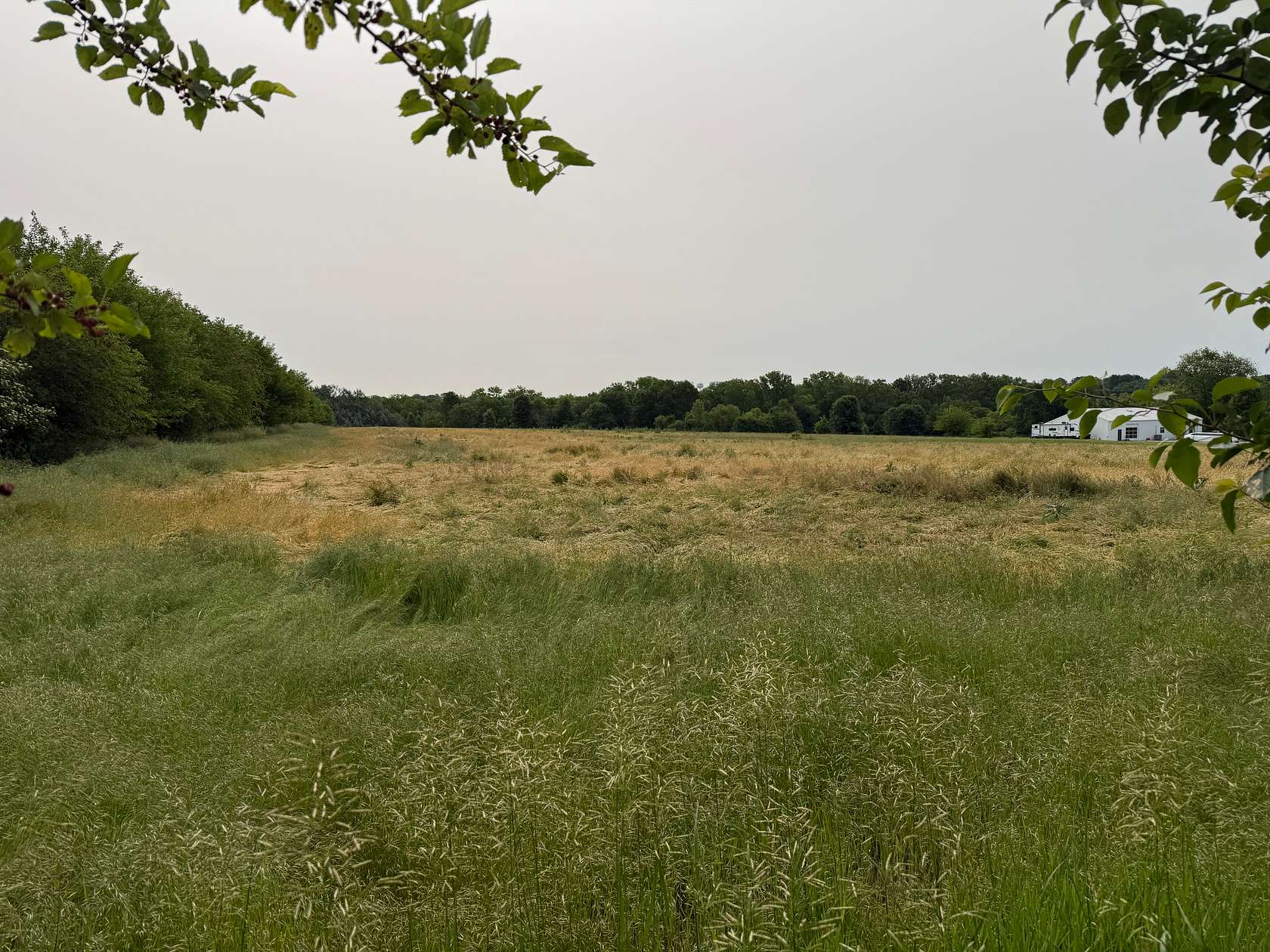 3.33 Acres of Residential Land for Sale in Raymore, Missouri