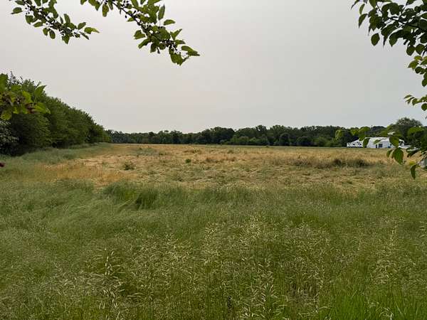 3.33 Acres of Residential Land for Sale in Raymore, Missouri