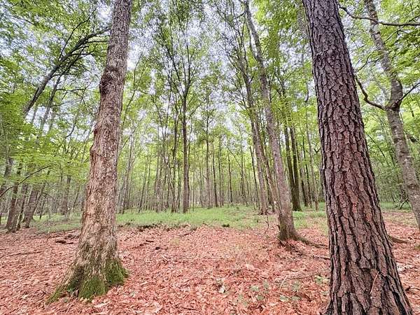 40.9 Acres of Land for Sale in Jasper, Texas