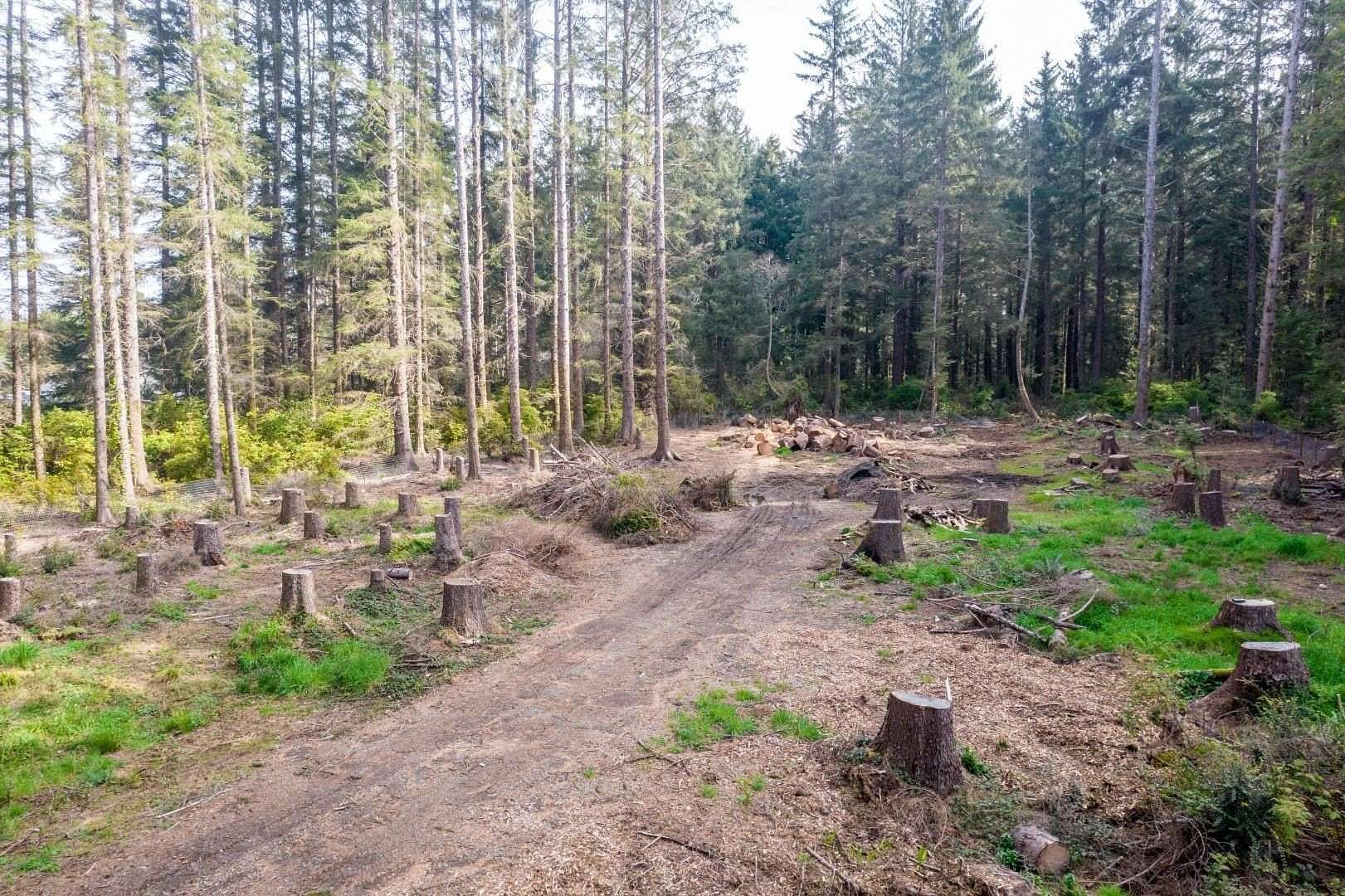 1 Acre of Residential Land for Sale in Crescent City, California