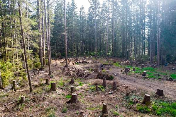 1 Acre of Residential Land for Sale in Crescent City, California