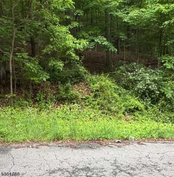 4.84 Acres of Residential Land for Sale in Independence Township, New Jersey