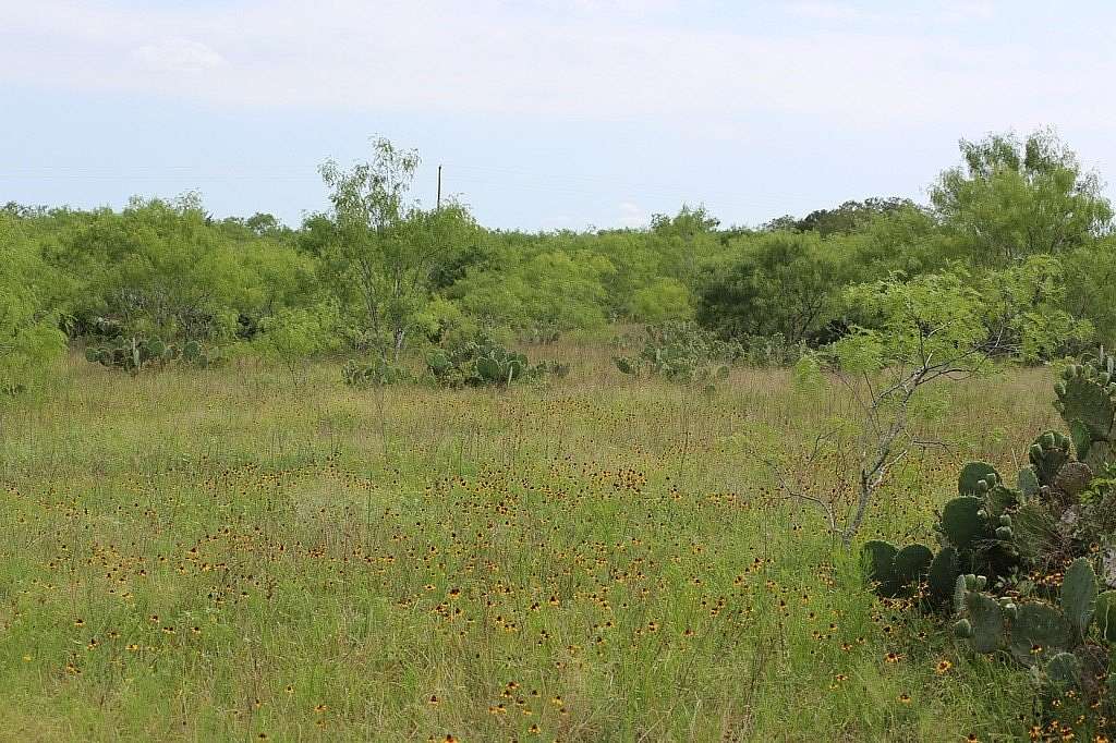 25 Acres of Land for Sale in Waelder, Texas