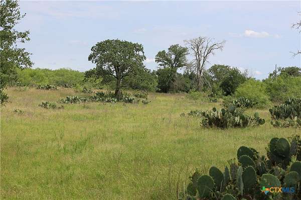 25 Acres of Improved Recreational Land for Sale in Waelder, Texas