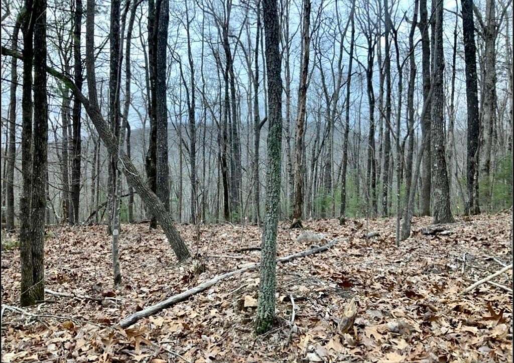 3.26 Acres of Residential Land for Sale in Ellijay, Georgia