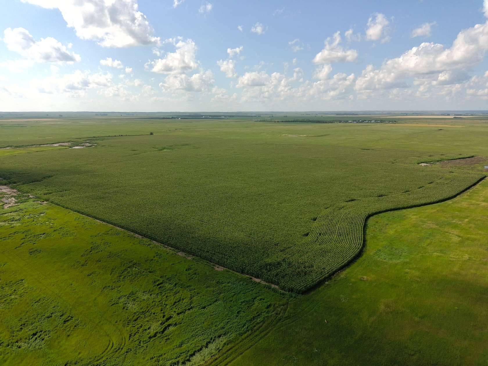 159 Acres of Recreational Land & Farm for Sale in Leola, South Dakota