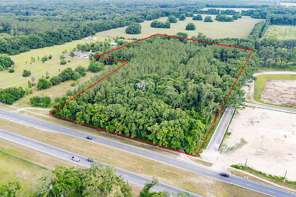 16.9 Acres of Commercial Land for Sale in Newberry, Florida