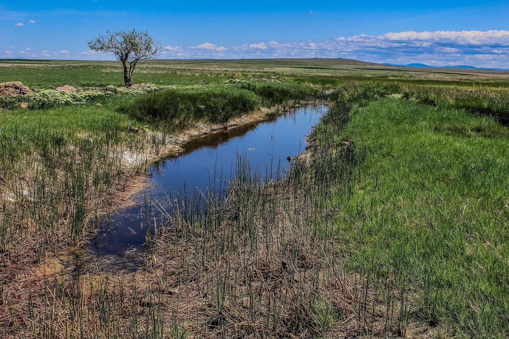 165 Acres of Land for Sale in Cascade, Montana