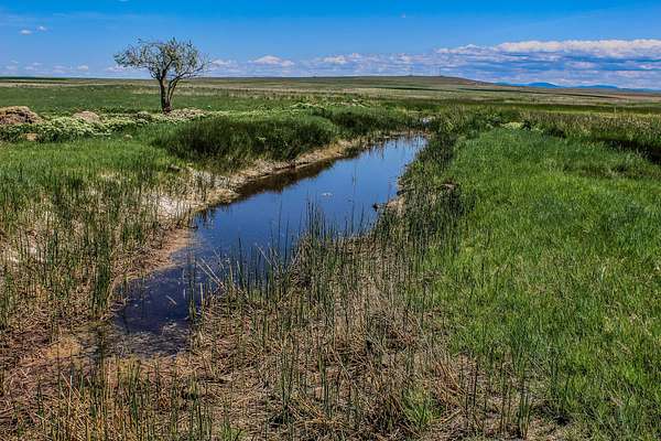 165 Acres of Land for Sale in Cascade, Montana