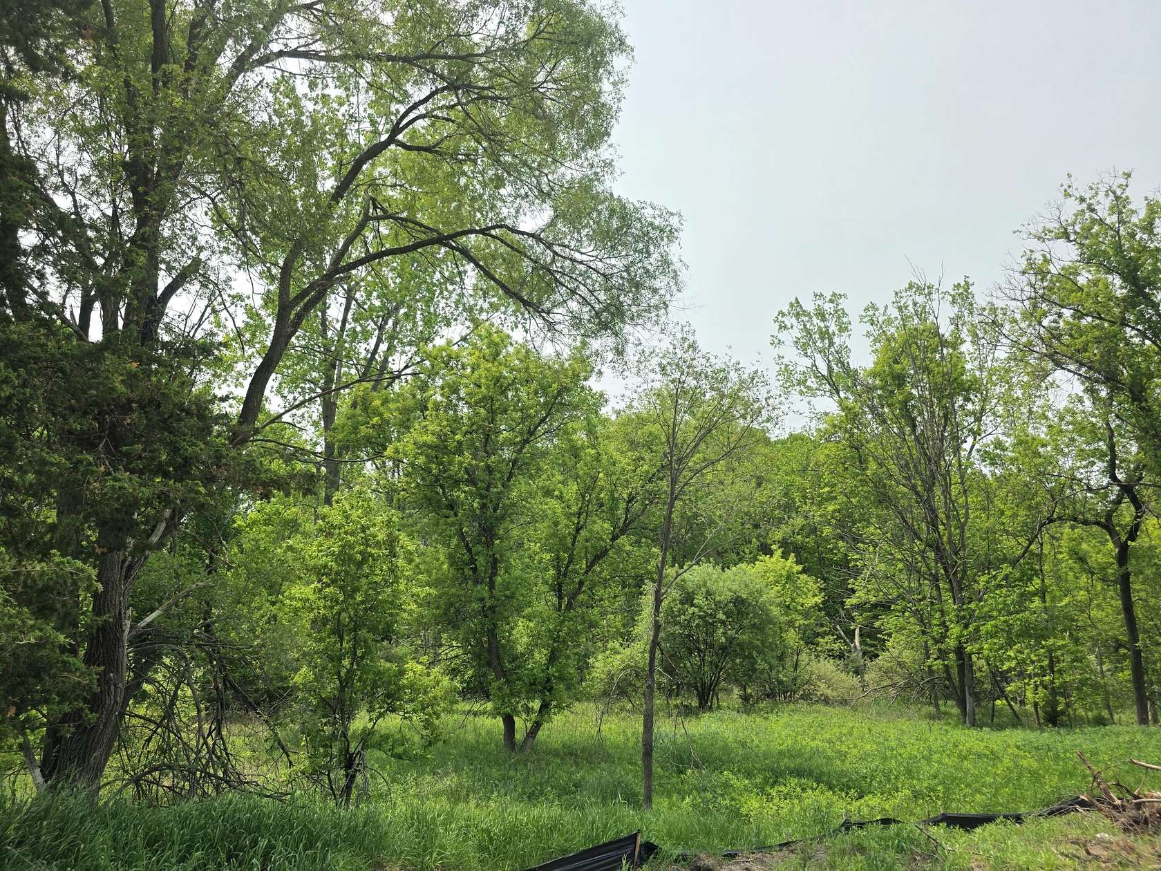 1.6 Acres of Commercial Land for Sale in Stanton, Michigan