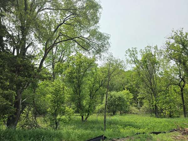 1.6 Acres of Commercial Land for Sale in Stanton, Michigan