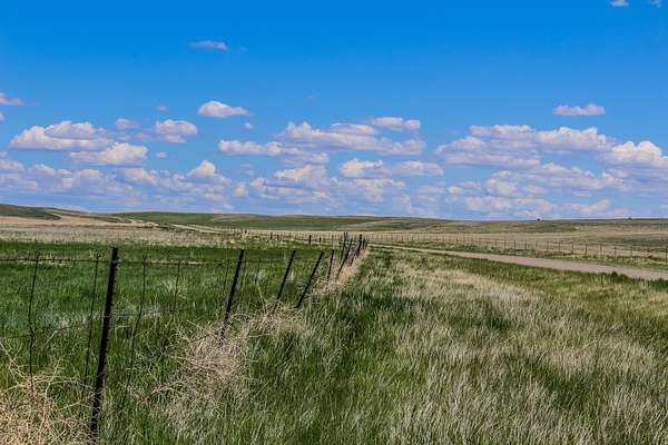 40 Acres of Recreational Land for Sale in Cascade, Montana