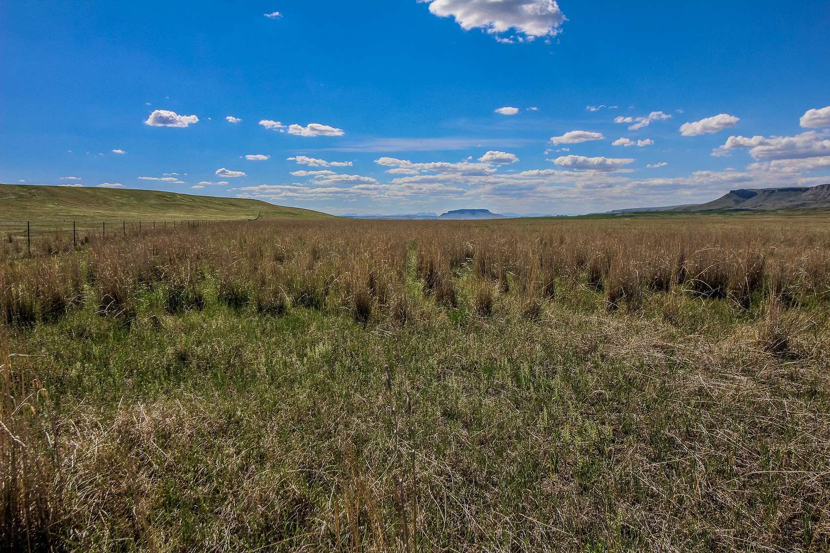 160 Acres of Land for Sale in Cascade, Montana