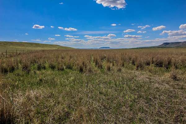 160 Acres of Land for Sale in Cascade, Montana