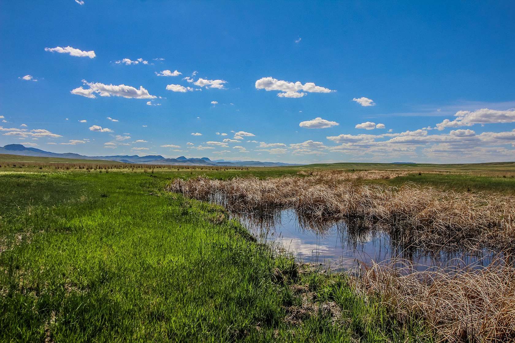 160 Acres of Land for Sale in Cascade, Montana