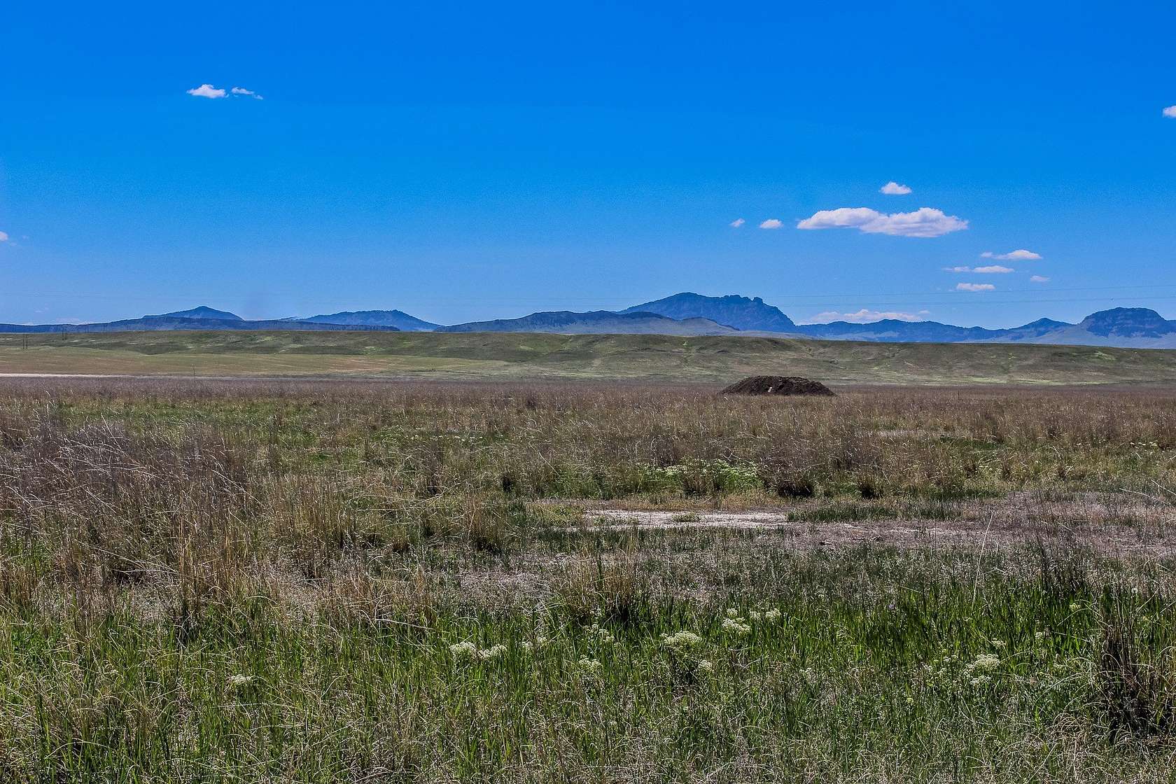 160 Acres of Land for Sale in Cascade, Montana