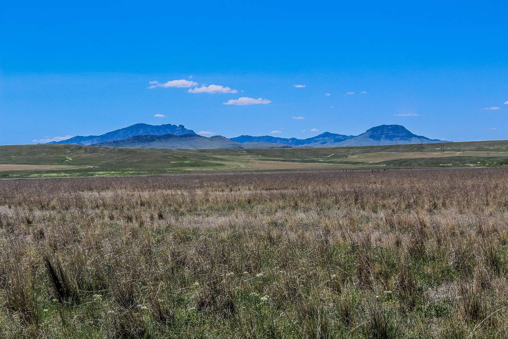 40 Acres of Recreational Land for Sale in Cascade, Montana