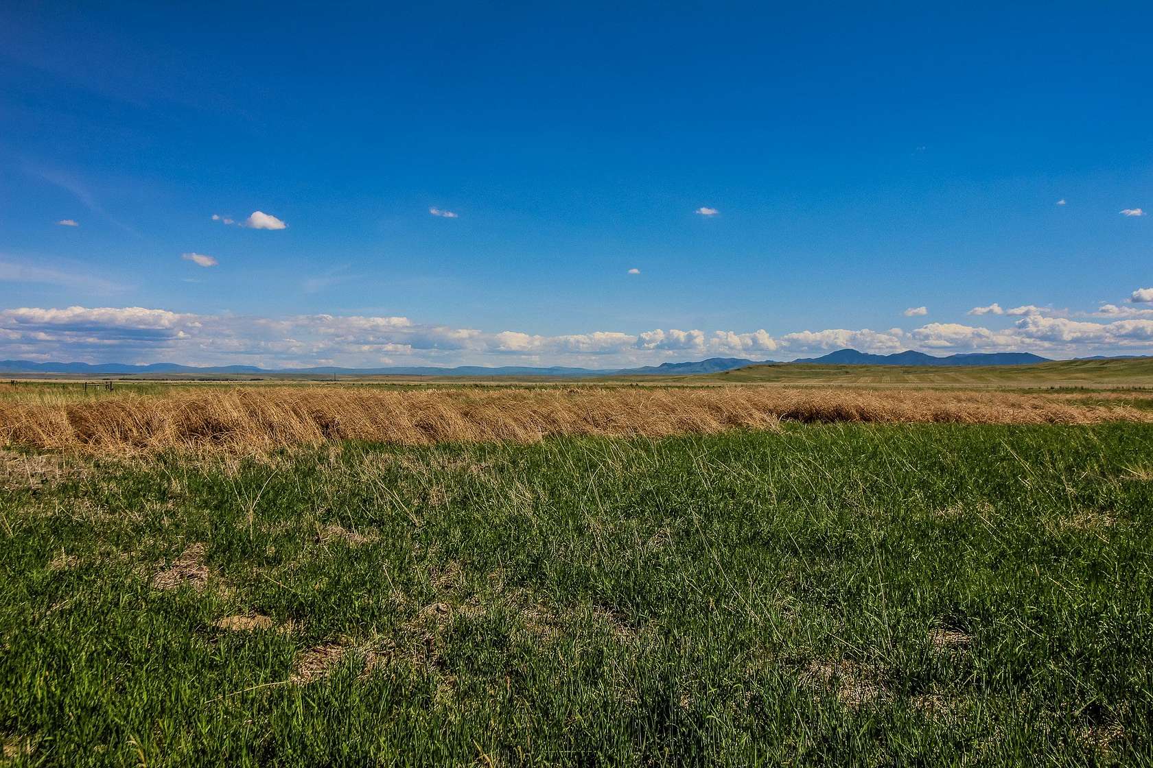 168 Acres of Land for Sale in Cascade, Montana