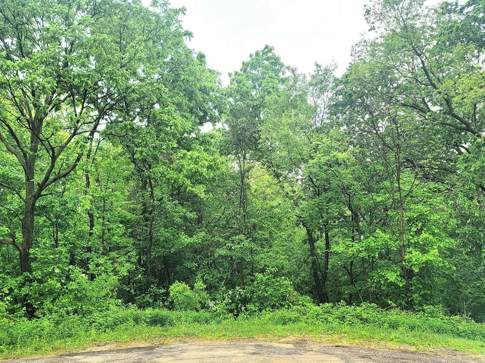 1.18 Acres of Land for Sale in Galena, Illinois