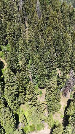 1.18 Acres of Land for Sale in Donnelly, Idaho