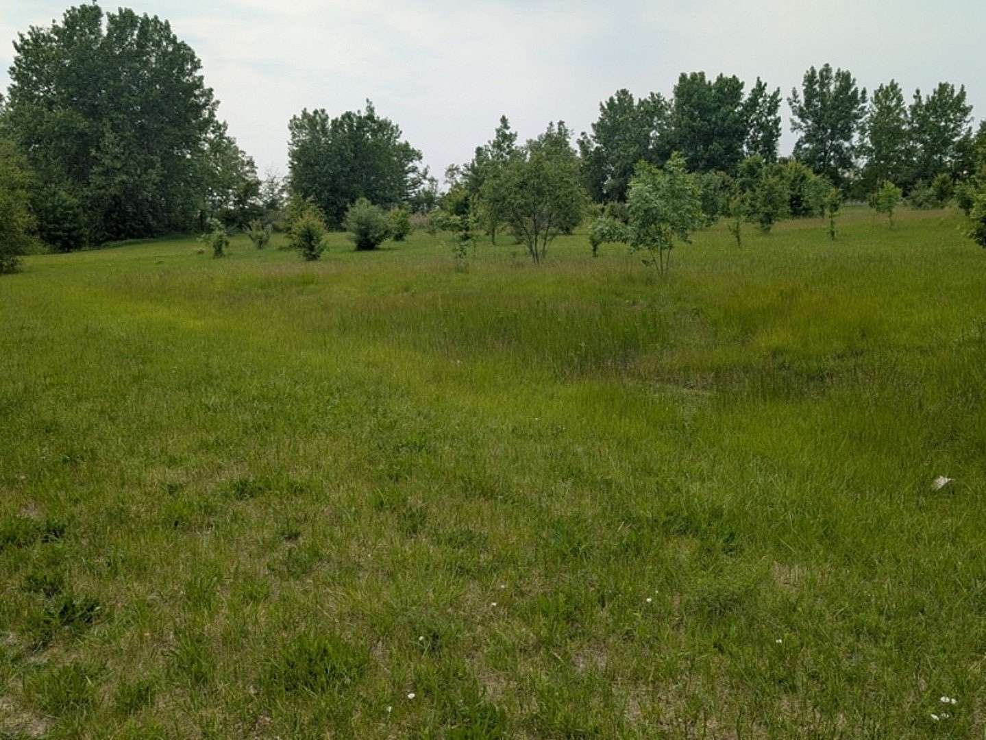 9.32 Acres of Commercial Land for Sale in Morris, Illinois