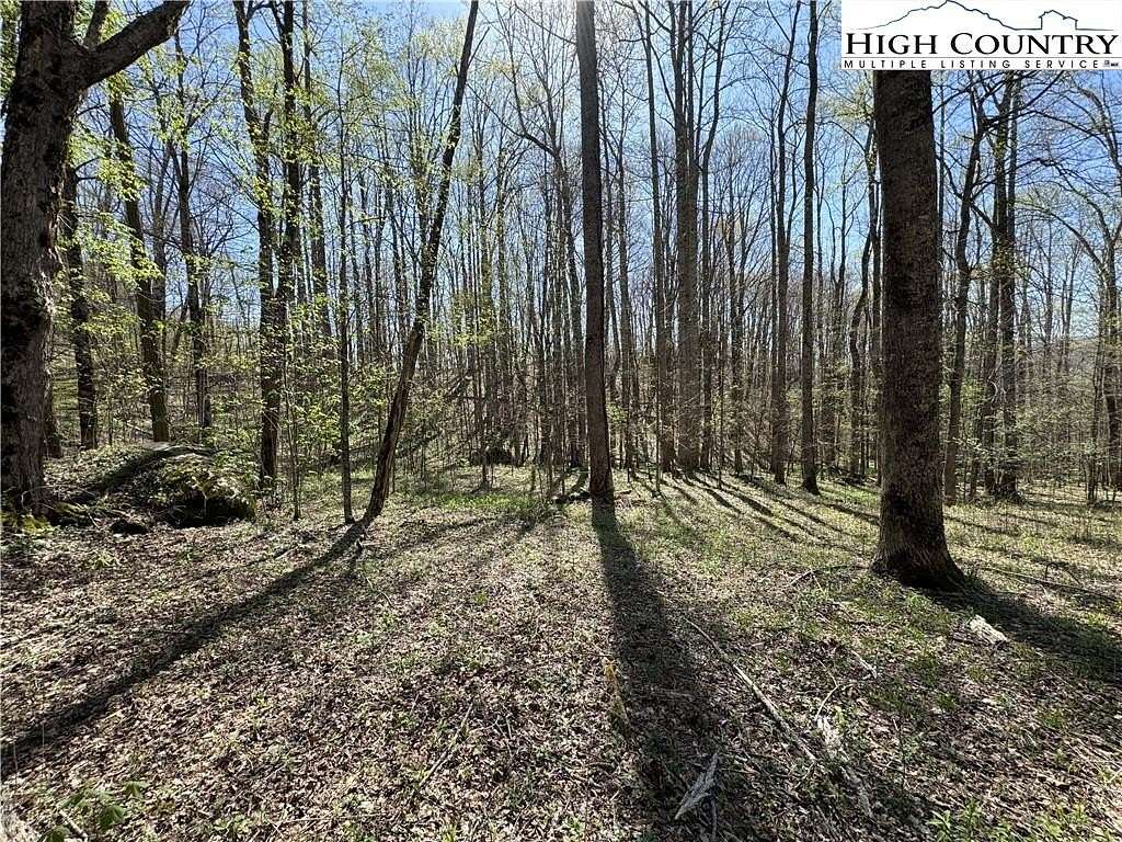 1 Acre of Land for Sale in Bakersville, North Carolina
