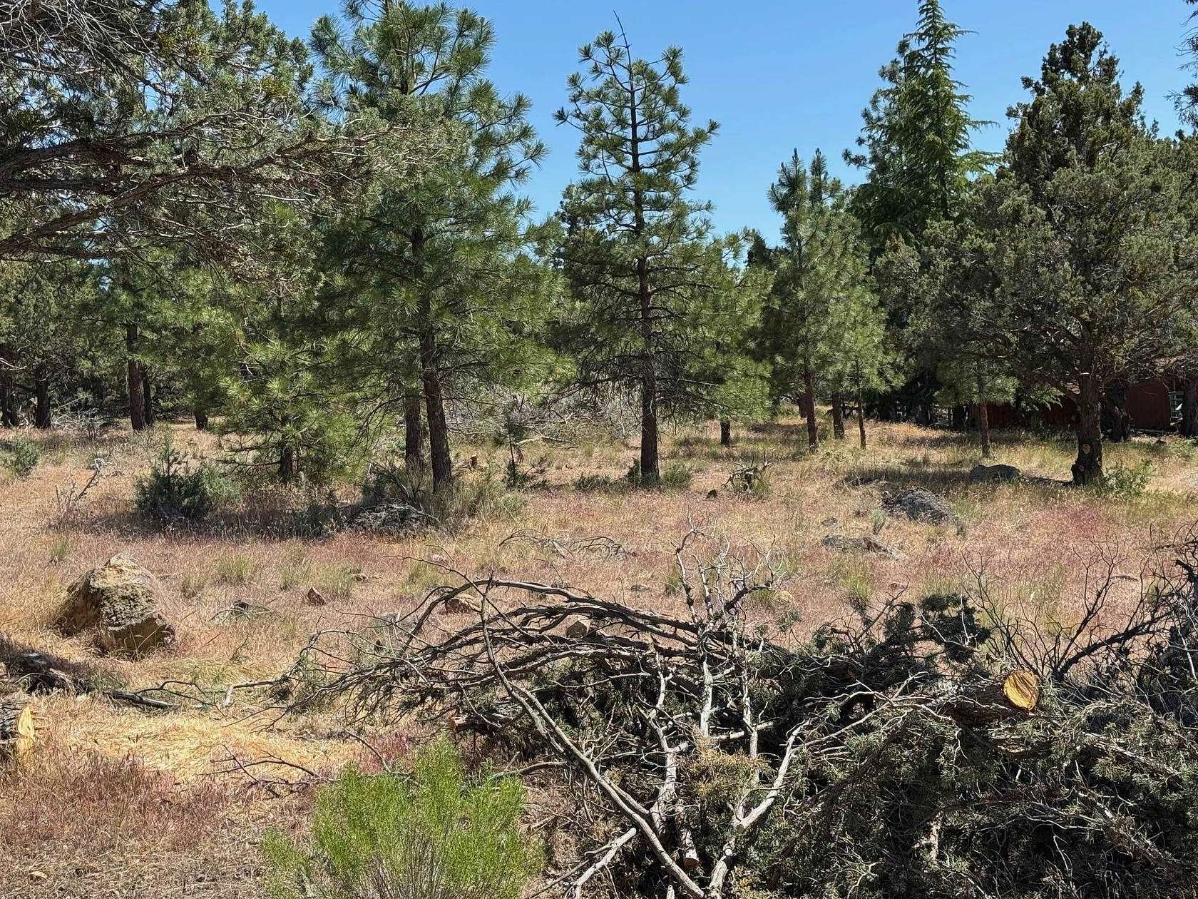 0.27 Acres of Residential Land for Sale in Weed, California