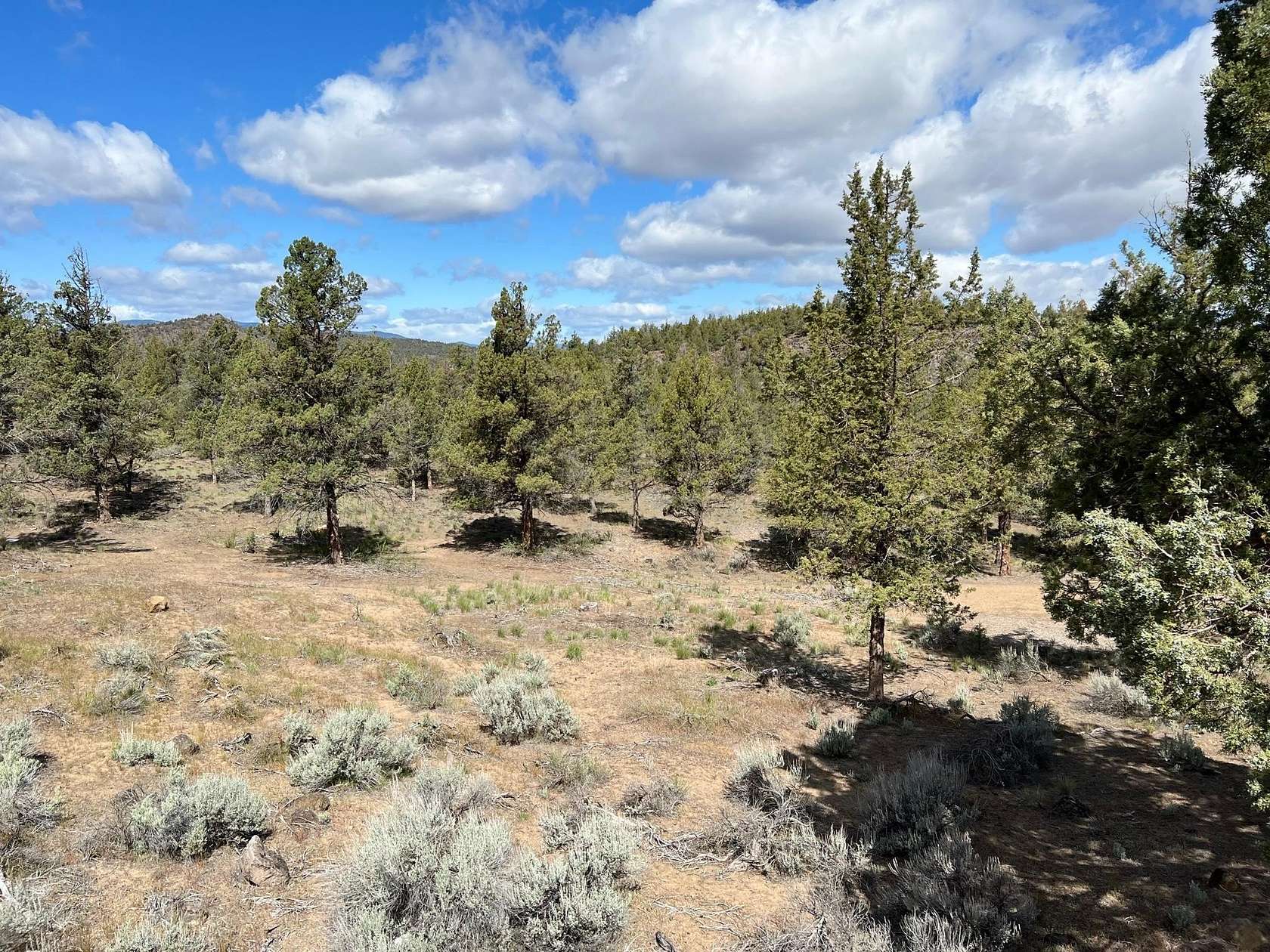 0.23 Acres of Residential Land for Sale in Weed, California