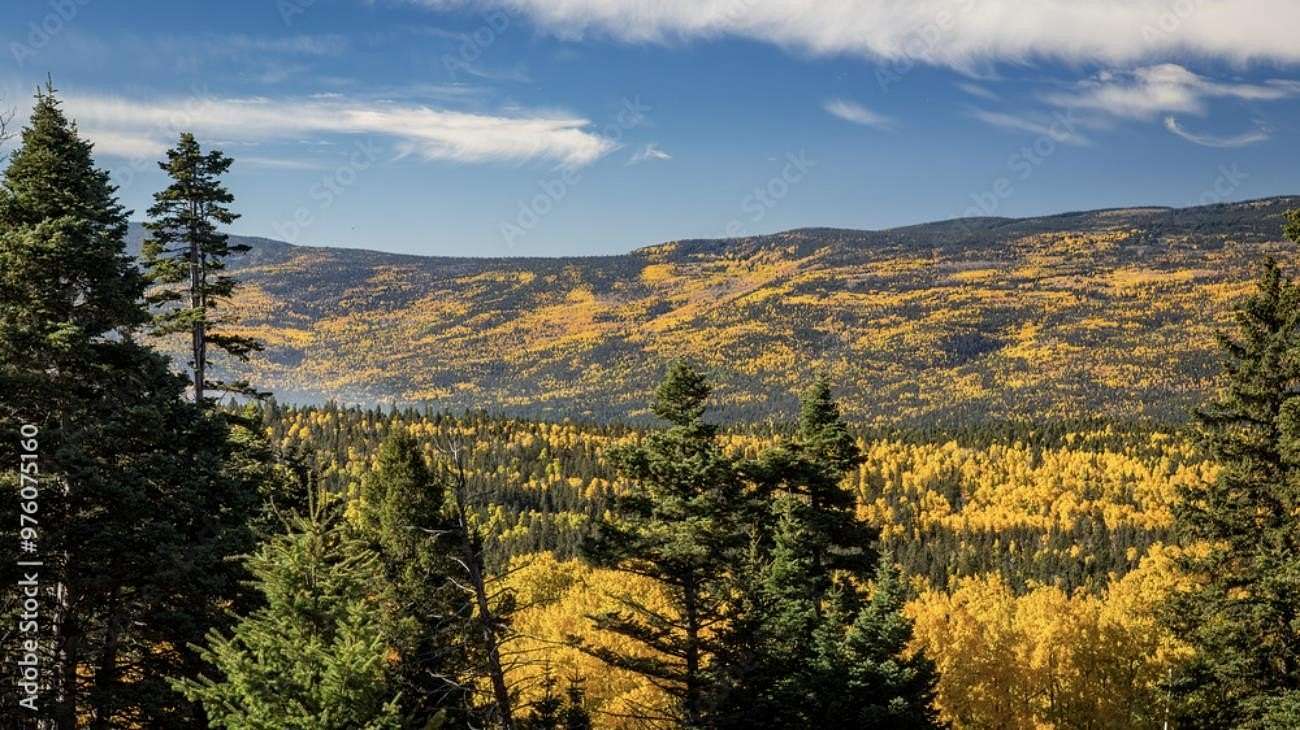 186 Acres of Land for Sale in Angel Fire, New Mexico