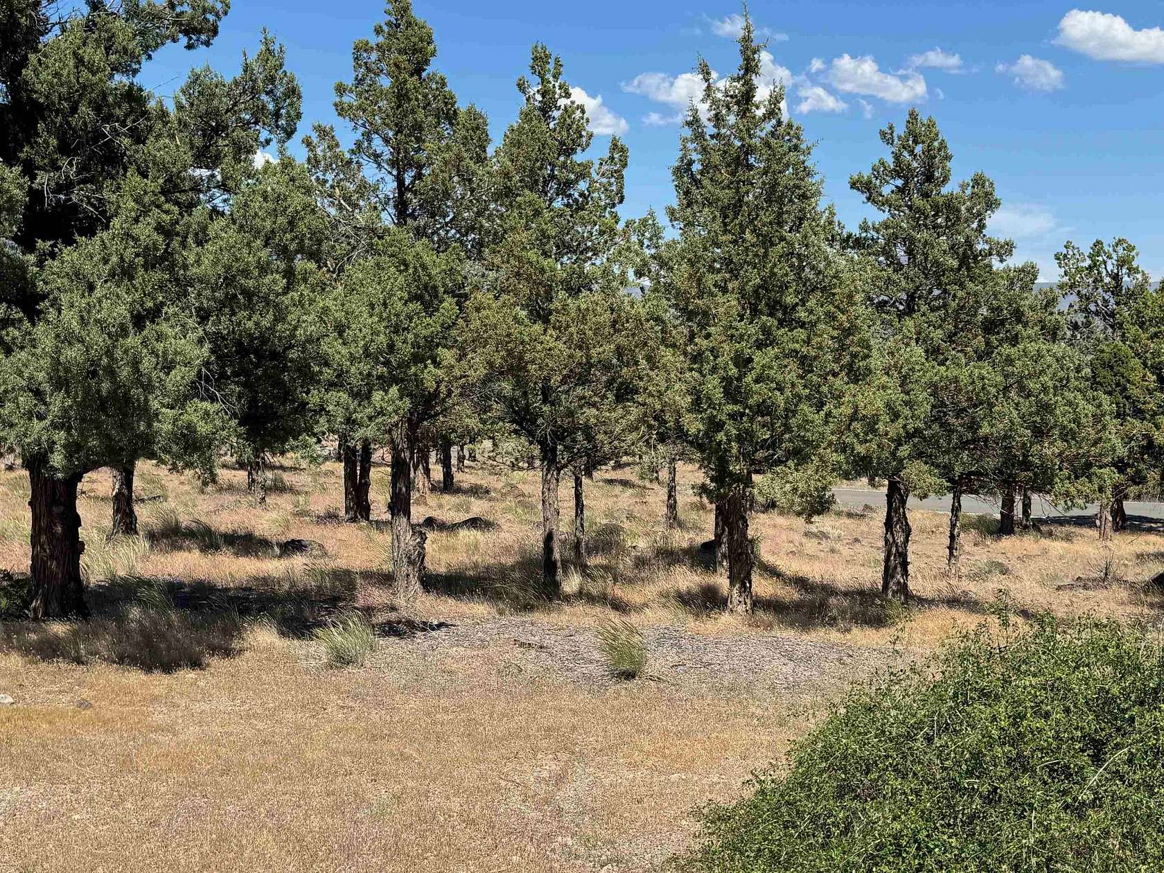 0.28 Acres of Land for Sale in Weed, California