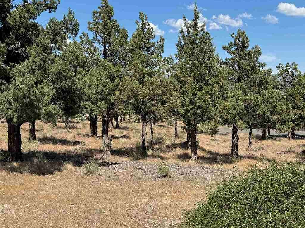 0.28 Acres of Land for Sale in Weed, California
